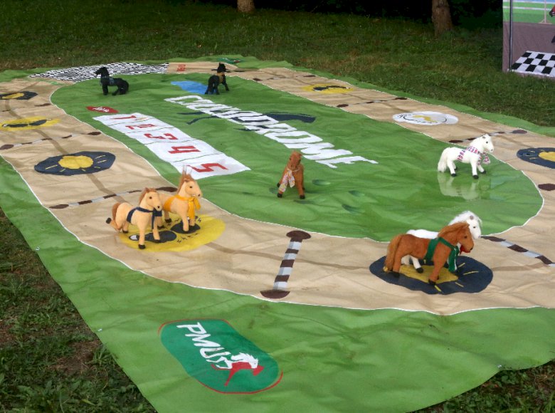 LES DÉFIS HIPPIQUES - COOLODROME - LOISIR