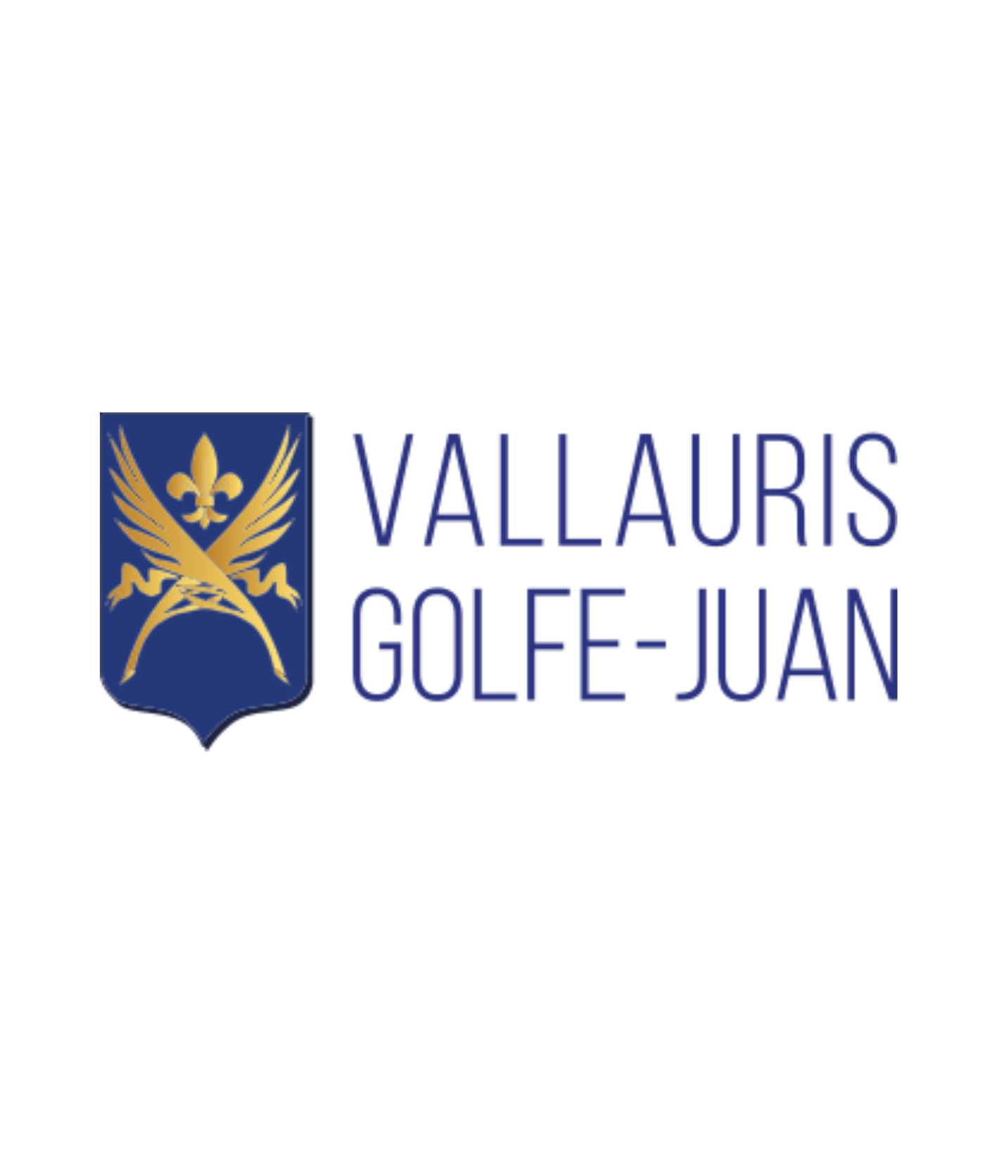 https://www.vallauris-golfe-juan.fr/index.php